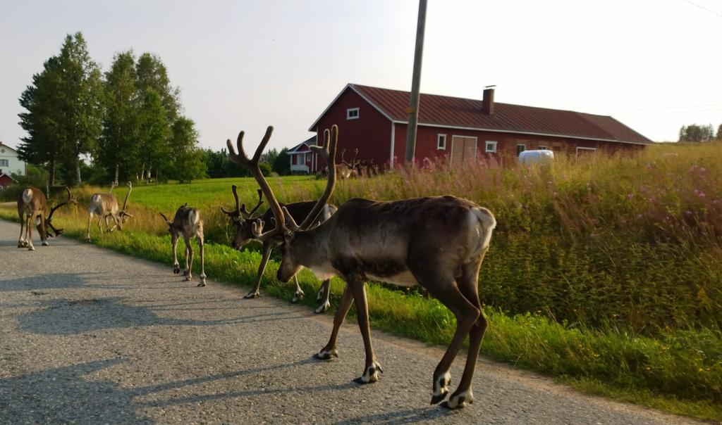 Kierinki Village Lomahuoneisto Zewnętrze zdjęcie