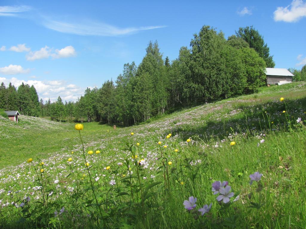 Kierinki Village Lomahuoneisto Zewnętrze zdjęcie